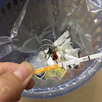 已经过了时间了还没月经，金秀儿的早早孕也是白板怎么回事？着床会 比较慢的有可能吗？