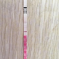 本人比较胖，备孕好几个月还是没怀，友友们支招，是不是要治疗一下还是怎么样？叶酸一直有在吃，排卵也...