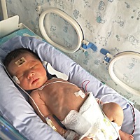 我的毛豆12天了