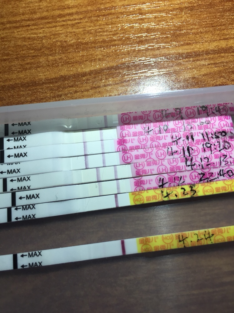 姐妹们你们看得到印吗？我自己不敢确定！刚刚写了一大堆传照片的时候突然回到首页了！唉……不想写了！