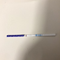 哎 好羡慕那些发两条杠的图片呀 末次月经3月25号 早上测了大白板 之前两个月月经前期胸会胀疼 这次没有...