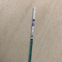 还是大白板，已经不想测了……哎，就这样吧，没有耐心了，都备孕了半年多了……