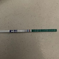 末次月经3月29号.排卵期是8号左右吧！我月经玩过两到三天就排卵。按正常的话姨妈还有五天来