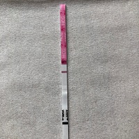 13号排卵 今天是第十二天 早早孕白的可怜 排卵试纸弱的可怜  上个月刚刚生化 还以为这个月有希望。哎 没...