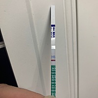 昨天晚上大卫有印 今天晨鸟大卫和昨晚一样 可立蓝明显 不会两个都炸胡吧！！！