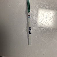 看看这是怀孕了吗？好纠结啊