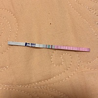 末次四月13 号的！一般都比较迟排卵 今天才第十三天 晚上无聊测了一下。这是快要排卵乱了吗 什么时候安...