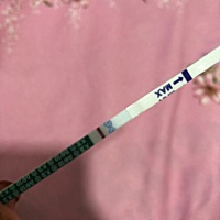 备孕第三个月今天是经期推迟第二天 还是白板    看来真的和猪宝宝无缘了