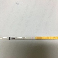 如果你们都有结果了 我就开始怀疑人生了… 早上测了金秀儿白板 坚持，明天晨尿测 绝不去医院 不想受打击