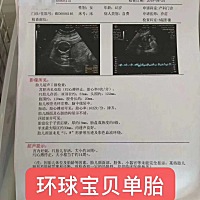 我看到雨在春天落下，我看到叶在秋天飘落，我看到雪在冬天轻飘。愿这喜雨滋润你，愿这落叶载着你，带着...