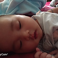 安静的躺在我怀里，真是幸福