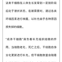干细胞到底能抗衰老吗？