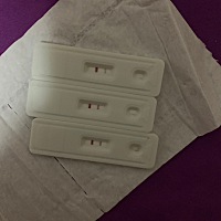 请问各位这个是有了吗？