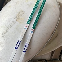 左边一根是昨天测的第二条有浅印，右边是今天测的又没有了。不会是假孕吧