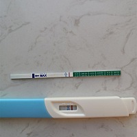 排卵第十二天，这是有了吗？最近几天肚子隐隐作痛，腰也疼，不知道是不是心里作用，上个月也是啥症状都...