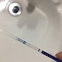 今天印证了一个问题，就是排卵试纸和早孕试纸放一块会串色！！！