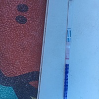 炸胡吗？我上个月27号来的月经，4号彻底干净，然后软件写的11号排卵期，我是8号和10号同房了一次，然后...