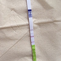 上次月经4月6号，11号左右开始测排卵，测了七八天没有强阳放弃了，也放弃猪宝了。刚心血来潮测了下，是...