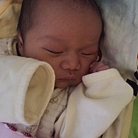 每天抱在怀里喂奶都在想，我的肚子怎么会装下这么大的宝宝，抱着都觉得有点累，在肚子里的时候却没什么感觉