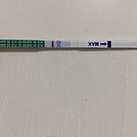 4.5日末次……手欠没忍住😄大白板