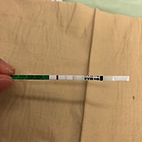 我想问下大家有没有姨妈期还有三天验出有粉红印但是有姨妈痛感、好着急、备孕快一年了