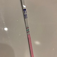 宝妈们谁帮看看这是准备排卵了吗？刚刚拍的，啥时候安排？