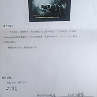 这是龙凤胎还是双胞胎