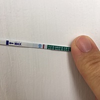 末次3.25月经，4.12号排卵，4.13安排了一次，4.25号之前都测的大白板，4.26有了灰印，今天是大姨妈推迟...