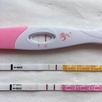 周期普遍偏长 今天第47天 高温第17天 今早接了两小杯尿分别测的金秀儿plsz和zzy 两条都是秒红秒红秒红!...