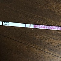 本人多囊 备孕一年多 去年跑了半年多医院 一直促排生化一次下来就没碰上 想人工授精 后来春节回家没做上...