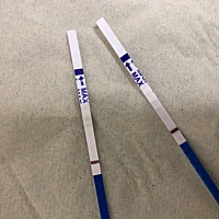 4.15下午六点排卵，左边是26号晚上测的，右边是27号早上测的，是不是意念灰啊