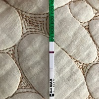 4月1号例假，4月14号排卵日 同晚同房 隔天又同房一次 今天又测了下 感觉眼睛快看瞎了 也没看见两条杠