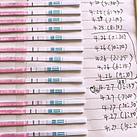 我怎么不会看呢，应该怎么安排，想要男