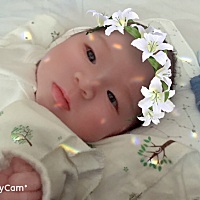 小花朵16天了。