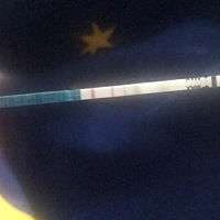 末次月经2019..3.25四月二十五日测着玩，居然中了，还要不要去验血啥的确认？还是在家安心养胎？备孕一...
