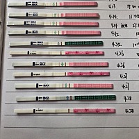 十九号排卵日 倒数第三个排卵试纸有点加深 最后二个是我今天早晨测的 这两天我都感觉自己瞎了 用意念来...