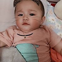 小波妞。