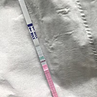 大家有没有这种情况？排卵期有褐色分泌物、刚刚吃了三颗黄体酮胶囊、一个多小时后测的排卵试条两条杠、...