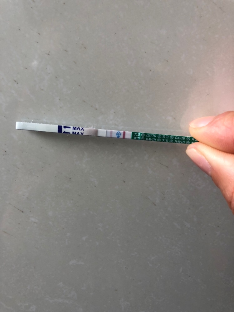 今天发现大姨妈没有来，买个试纸试试。没想到中奖了，三胎