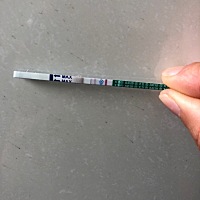 今天发现大姨妈没有来，买个试纸试试。没想到中奖了，三胎