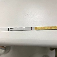 21号金秀儿半定量确认排卵。客服让安排了三次。刚刚测试了一下早早孕
