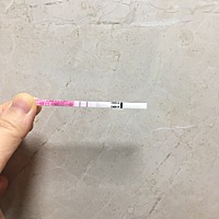 今天测的普通试纸和半定量