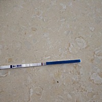 月经推迟三天，胸部胀痛不能碰，右边小肚子说不出来偶尔会有点痛，什么情况