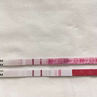 这两天测试开始加深。金秀儿半定量。这样安排是不是小姑娘的几率大
