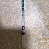 刚测的那两分钟没有红线，过了10分钟我再看就是这样，月经才推迟2天，请大家帮我看看这是怀孕了吗？谢谢...