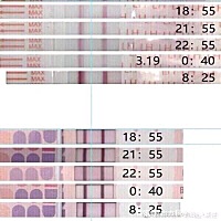备孕男孩最重要的三点 男人精子质量好 女人气血好 精准的排卵黄金时间