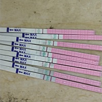 4月11来的例假14走的，软件显示23号排卵，从23号开始试排卵试纸的，今天早上的颜色很浅，晚上的颜色很深...