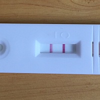 13号排卵同房，大前天测还没有，今早就双杠了，超高兴的，希望平平安安的