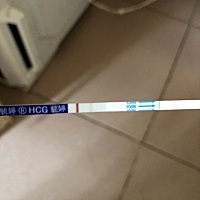 这算一条杠还是两条？