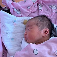 我的小Leifur可让我受够了苦，可想想宝宝健康就好。预产期提前一周发动，因为是二胎，知道要有规律...